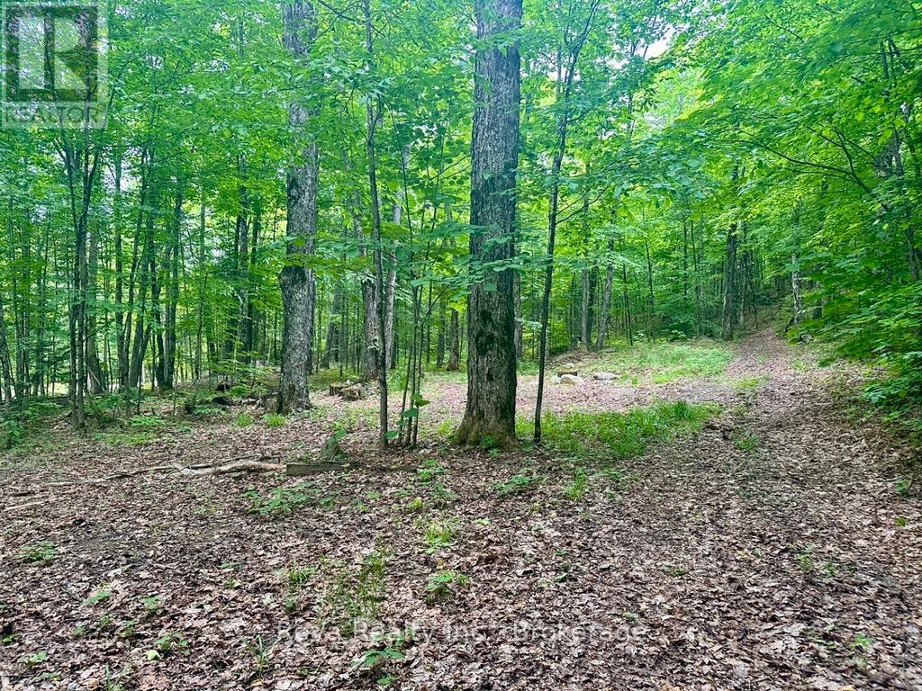219 Elgin Road, Hastings Highlands, Ontario  K0L 2K0 - Photo 19 - X13743470