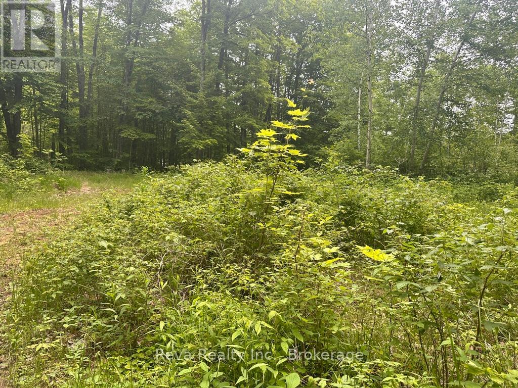 219 Elgin Road, Hastings Highlands, Ontario  K0L 2K0 - Photo 21 - X13743470