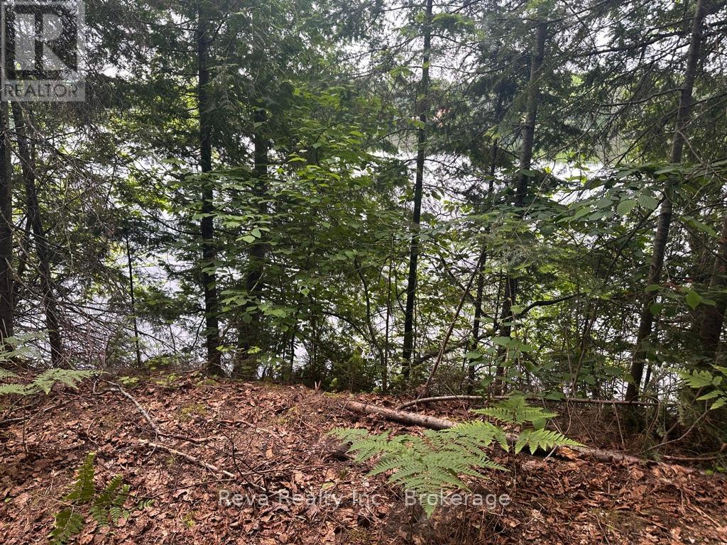 219 Elgin Road, Hastings Highlands, Ontario  K0L 2K0 - Photo 24 - X13743470