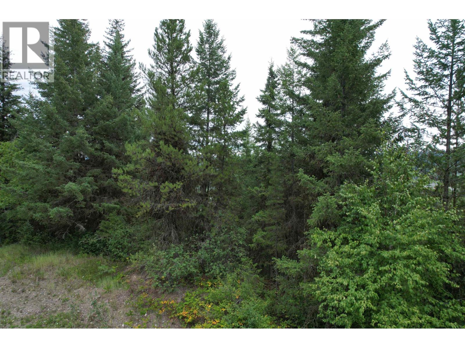 Lot 6 Francess Drive, Quesnel, British Columbia  V2J 6H6 - Photo 3 - R3161483