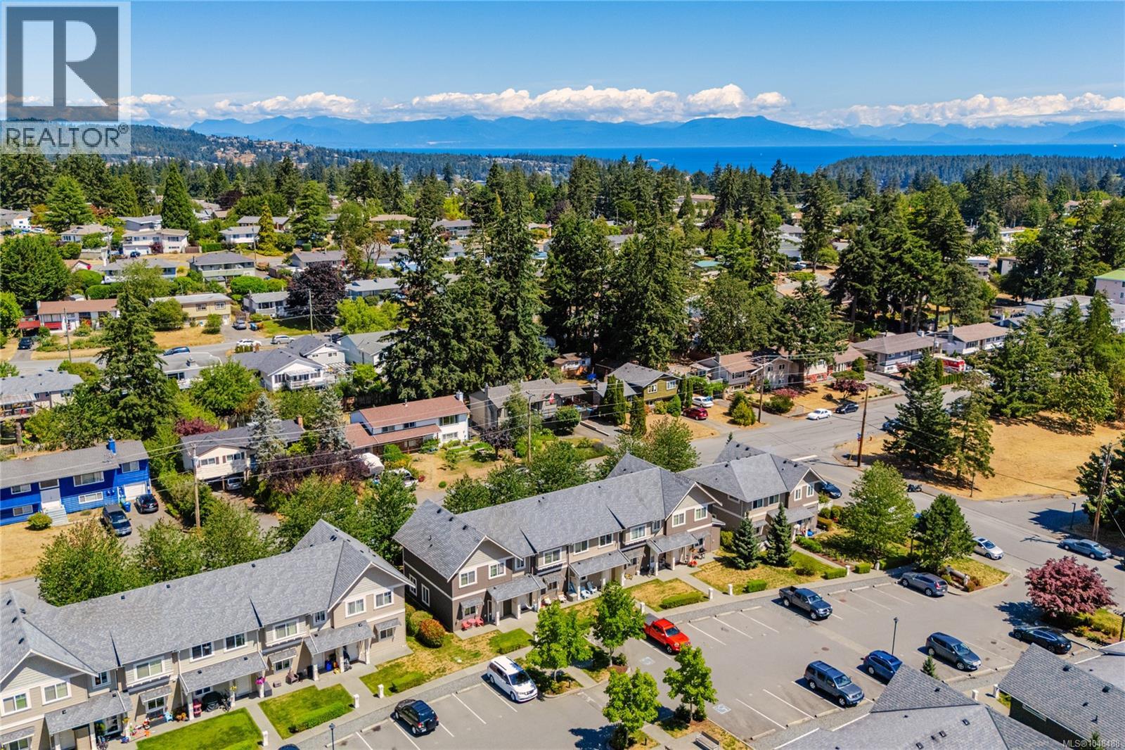 picture 50