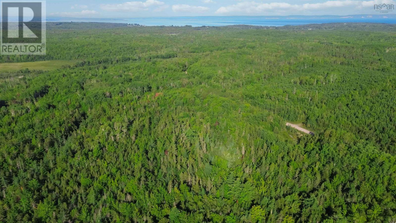 Bennie Muckle - 30 Acres Road, Bramber, Nova Scotia  B0N 2A0 - Photo 20 - 202607899