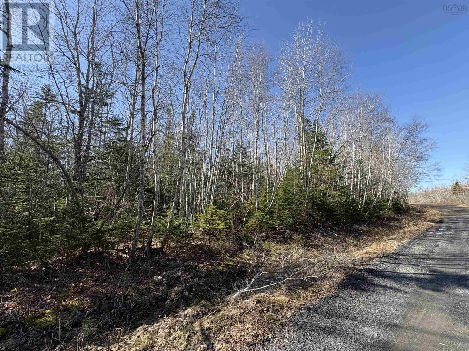 Bennie Muckle - 30 Acres Road, Bramber, Nova Scotia  B0N 2A0 - Photo 15 - 202607899