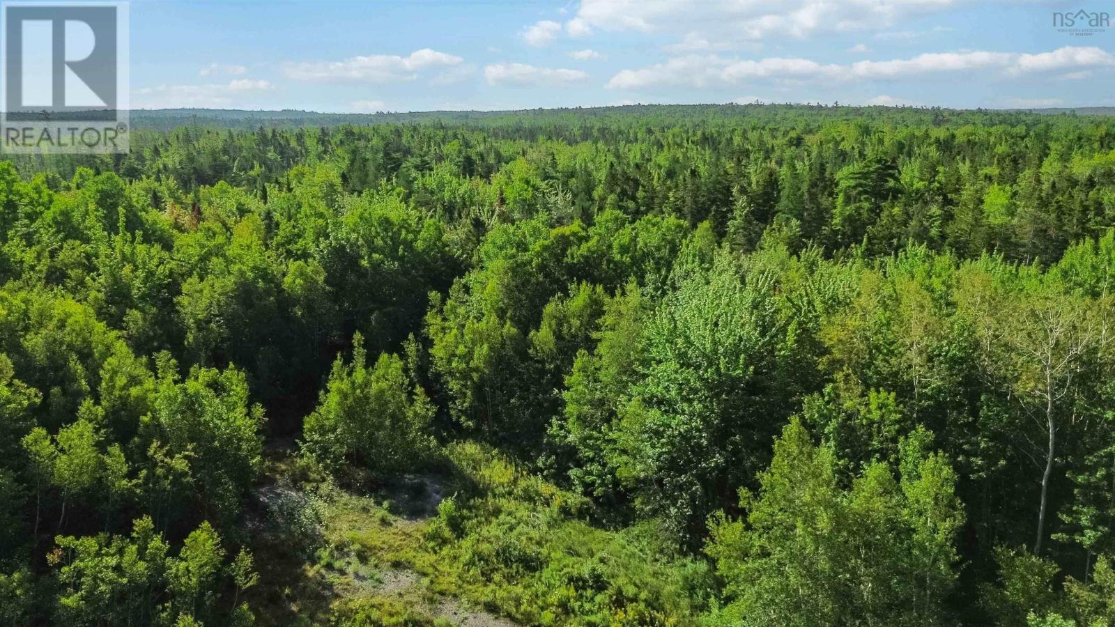 Bennie Muckle - 30 Acres Road, Bramber, Nova Scotia  B0N 2A0 - Photo 17 - 202607899