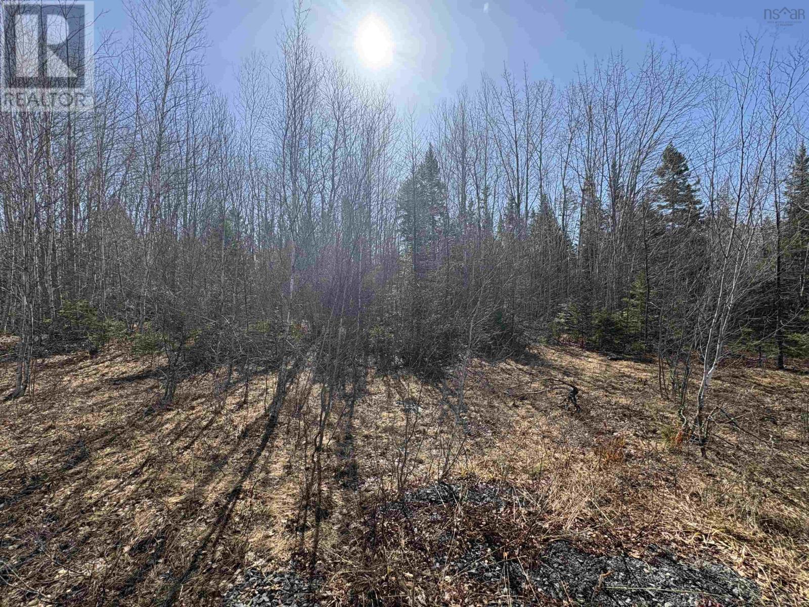 Bennie Muckle - 30 Acres Road, Bramber, Nova Scotia  B0N 2A0 - Photo 12 - 202607899
