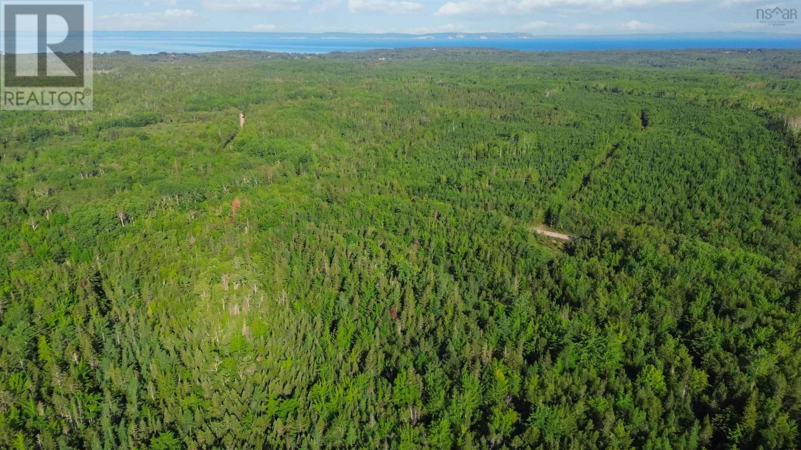 Bennie Muckle - 30 Acres Road, Bramber, Nova Scotia  B0N 2A0 - Photo 21 - 202607899