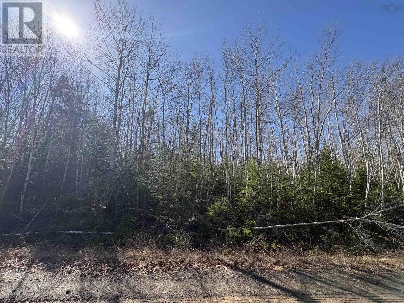 Bennie Muckle - 30 Acres Road, Bramber, Nova Scotia  B0N 2A0 - Photo 11 - 202607899