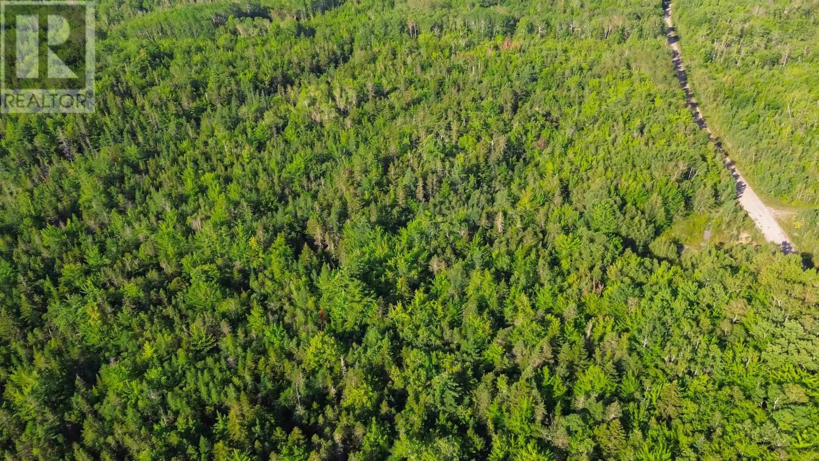 Bennie Muckle - 30 Acres Road, Bramber, Nova Scotia  B0N 2A0 - Photo 19 - 202607899