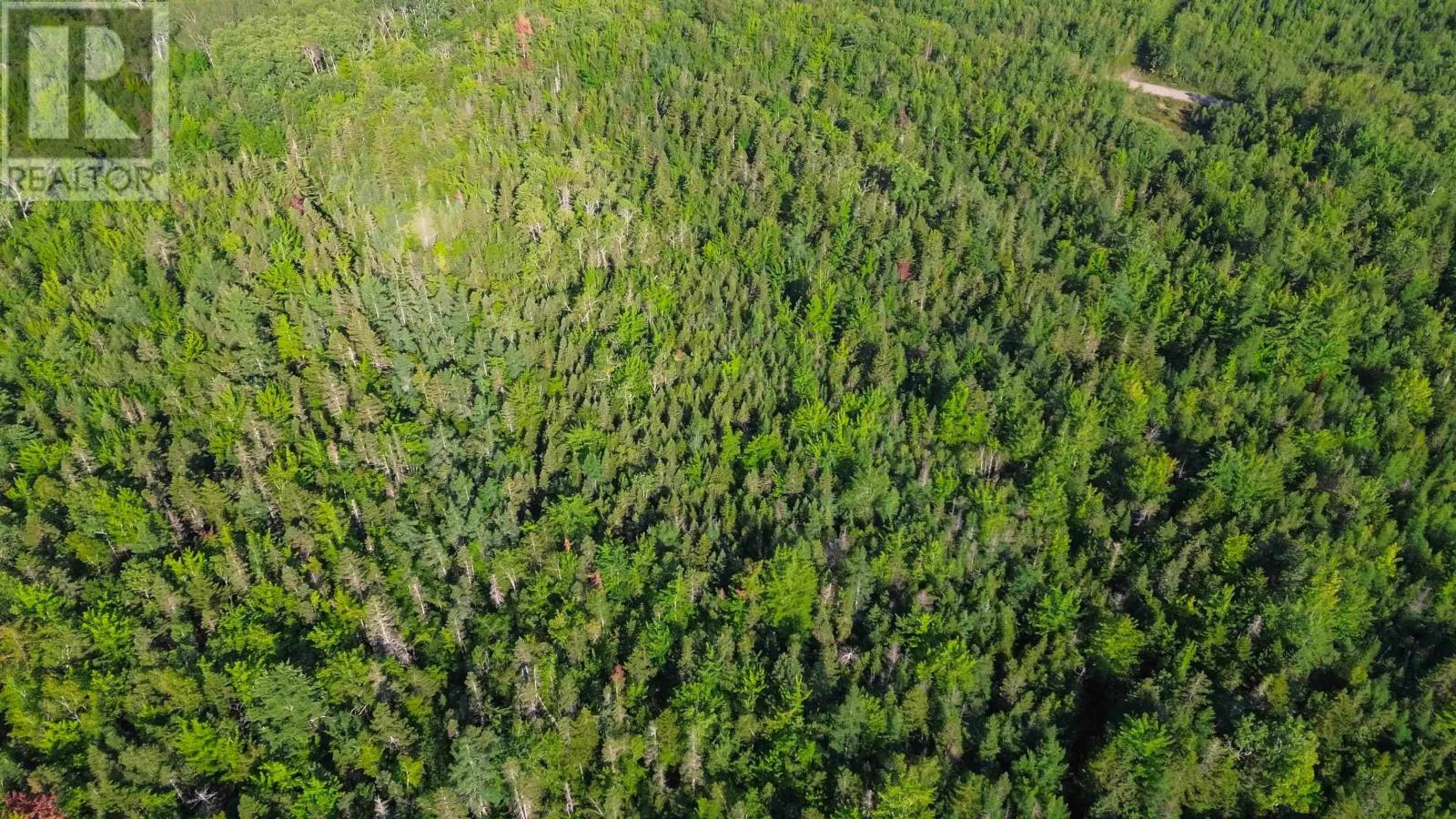 Bennie Muckle - 30 Acres Road, Bramber, Nova Scotia  B0N 2A0 - Photo 22 - 202607899