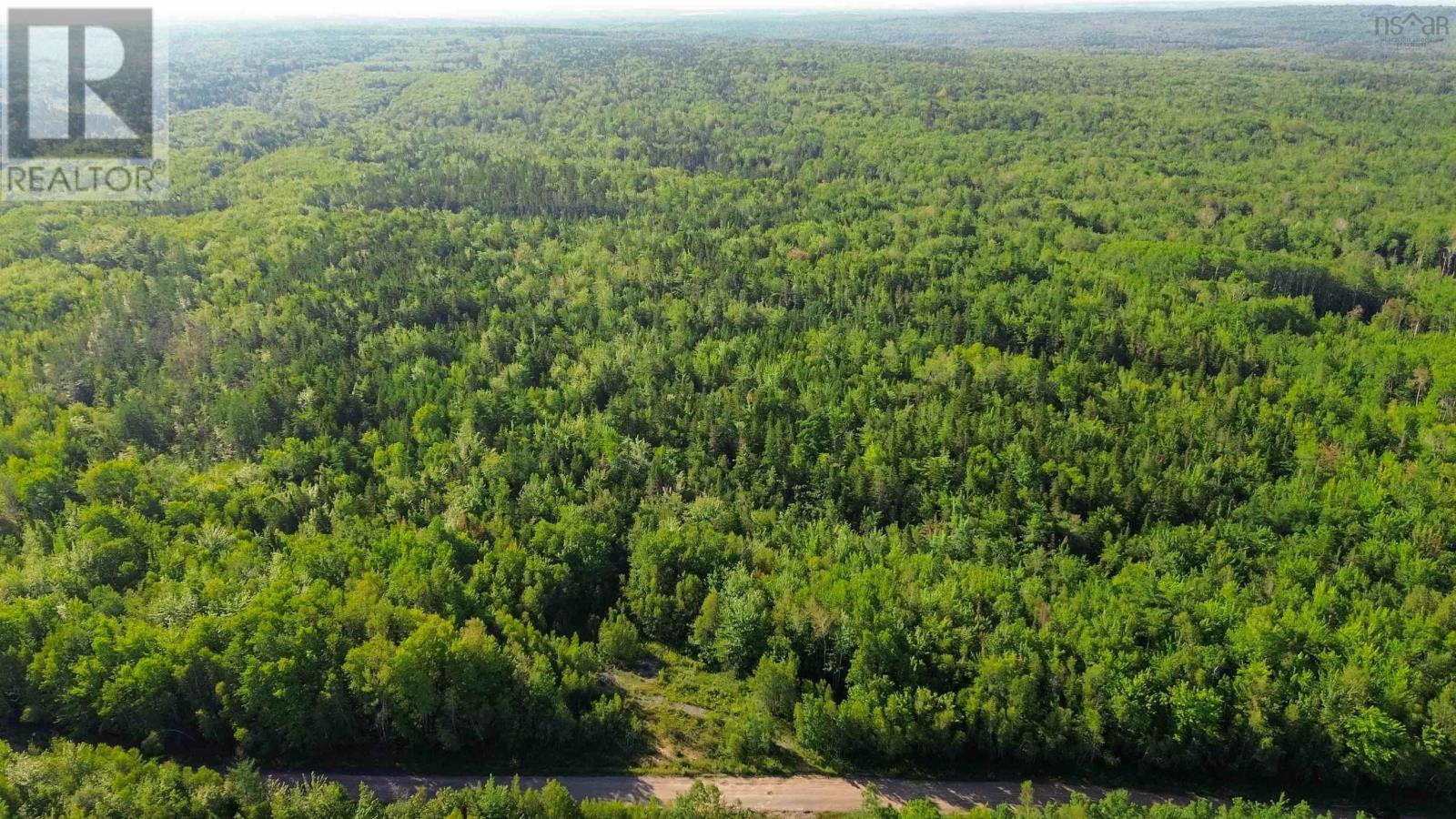 Bennie Muckle - 30 Acres Road, Bramber, Nova Scotia  B0N 2A0 - Photo 23 - 202607899