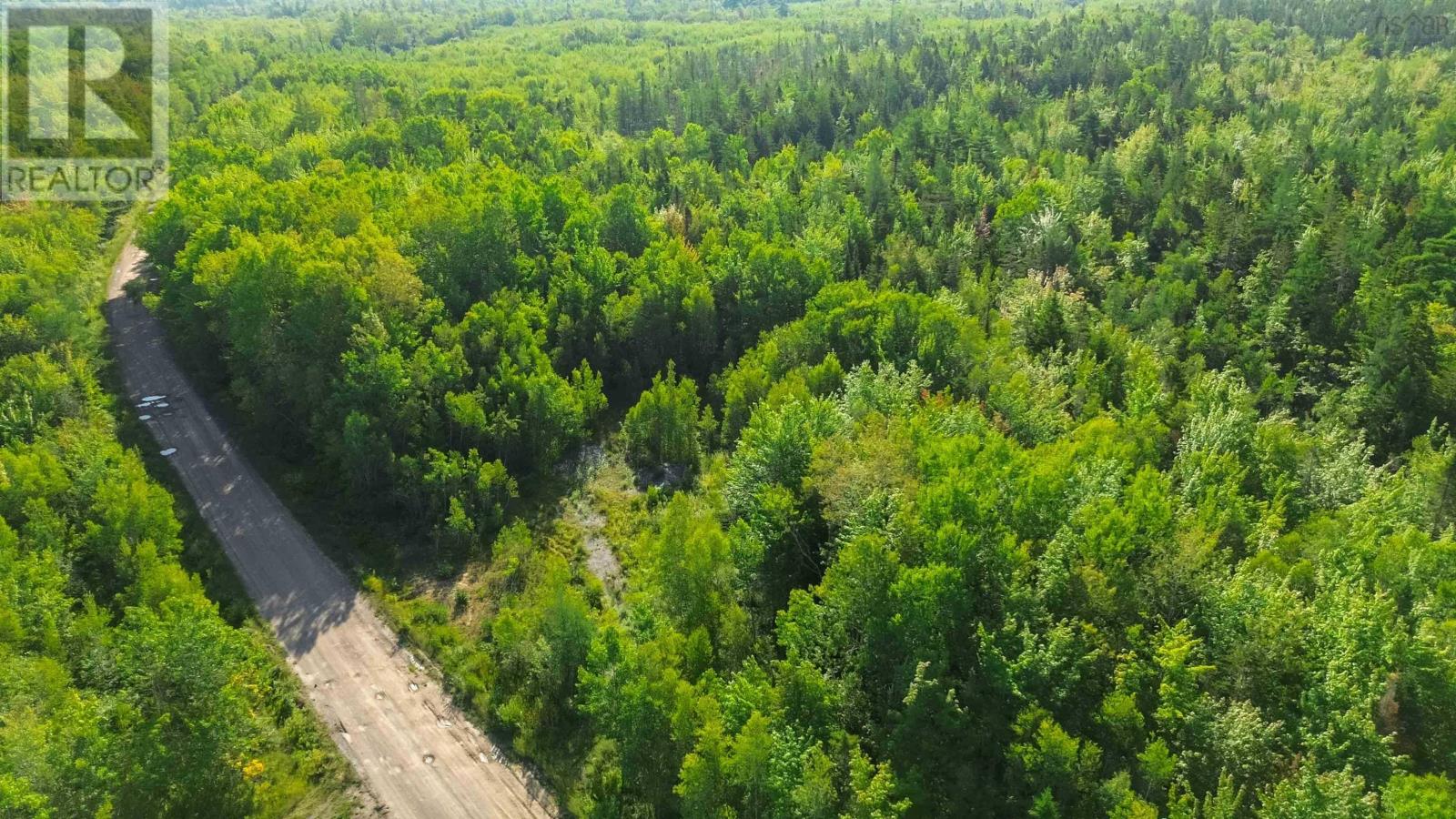 Bennie Muckle - 30 Acres Road, Bramber, Nova Scotia  B0N 2A0 - Photo 3 - 202607899