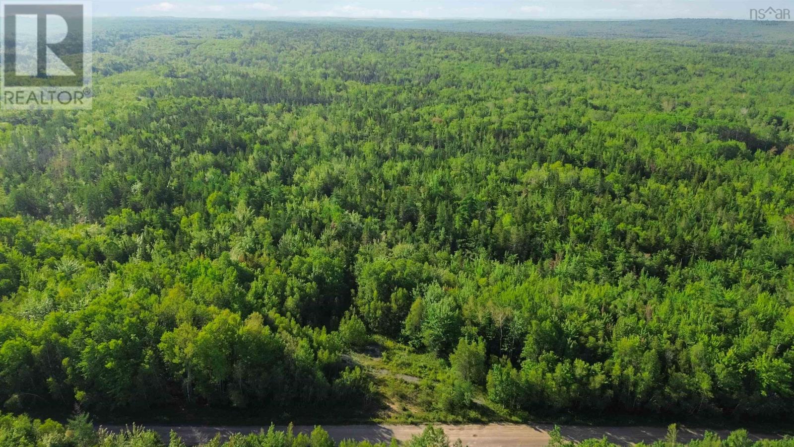Bennie Muckle - 30 Acres Road, Bramber, Nova Scotia  B0N 2A0 - Photo 16 - 202607899