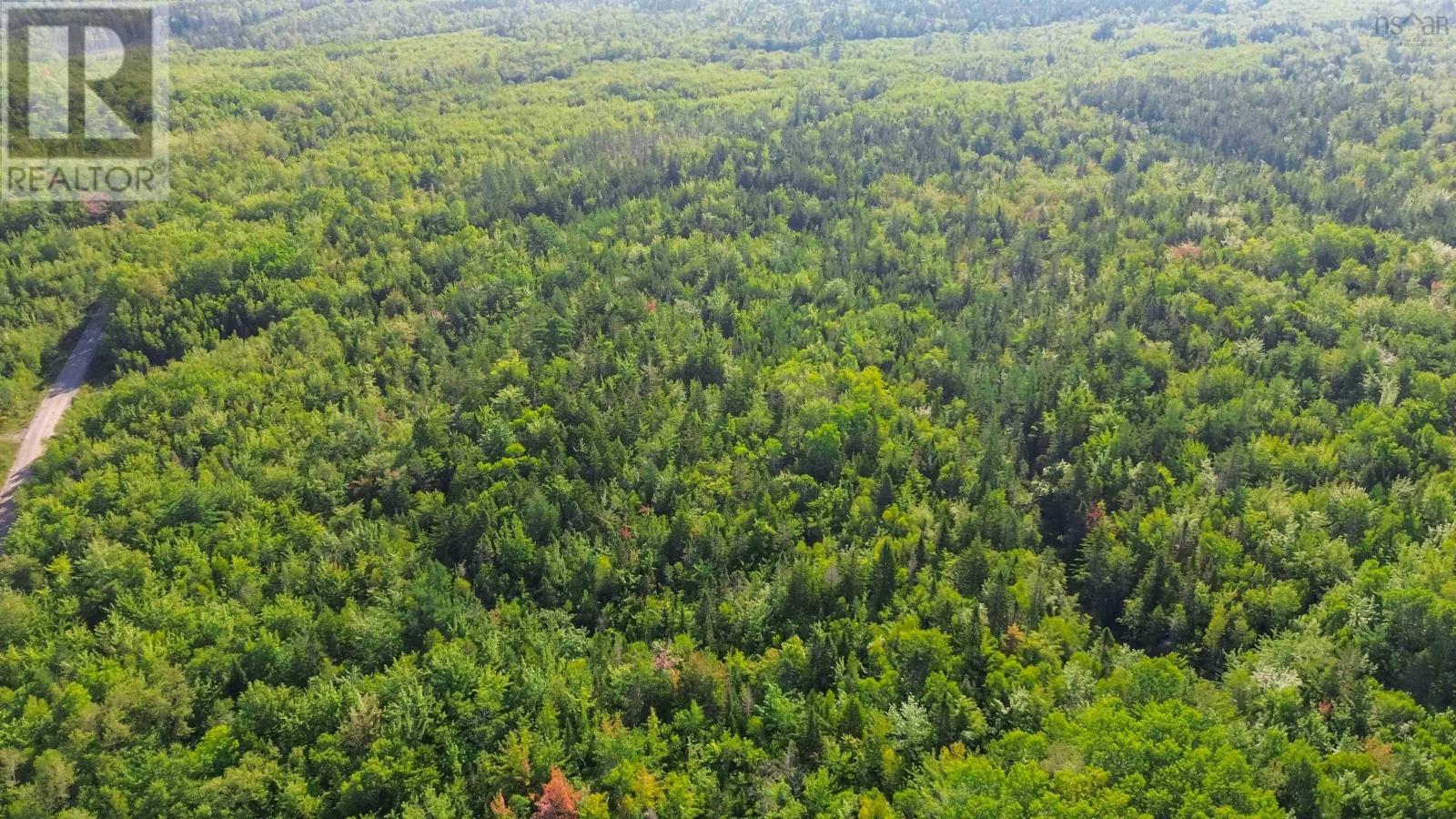 Bennie Muckle - 30 Acres Road, Bramber, Nova Scotia  B0N 2A0 - Photo 24 - 202607899