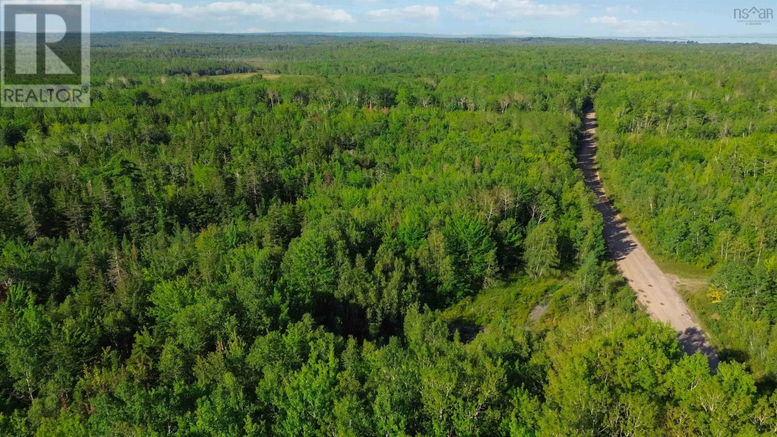 Bennie Muckle - 30 Acres Road, Bramber, Nova Scotia  B0N 2A0 - Photo 4 - 202607899