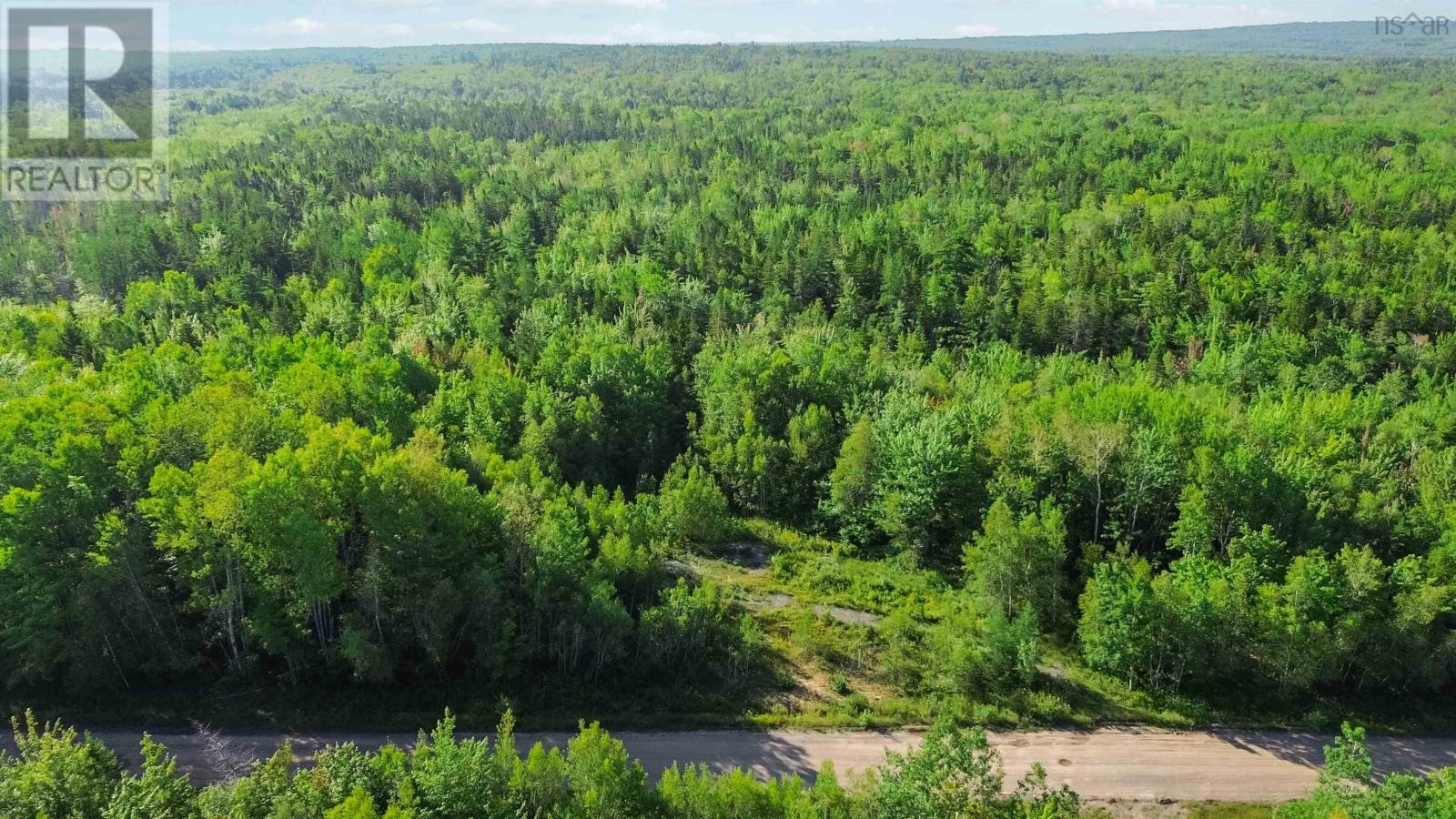 Bennie Muckle - 30 Acres Road, Bramber, Nova Scotia  B0N 2A0 - Photo 5 - 202607899