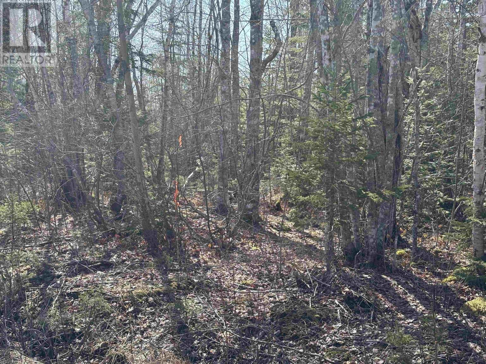 Bennie Muckle - 30 Acres Road, Bramber, Nova Scotia  B0N 2A0 - Photo 8 - 202607899