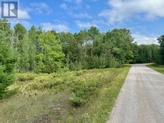 . Lt 72 Pl S154; Billings, Kagawong, Ontario  P0P 1J0 - Photo 4 - 2130069