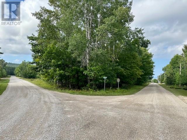 . Lt 72 Pl S154; Billings, Kagawong, Ontario  P0P 1J0 - Photo 6 - 2130069