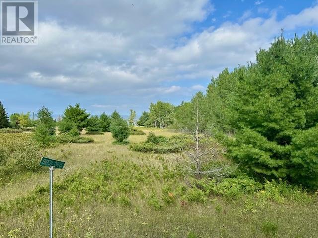 . Lt 72 Pl S154; Billings, Kagawong, Ontario  P0P 1J0 - Photo 3 - 2130069