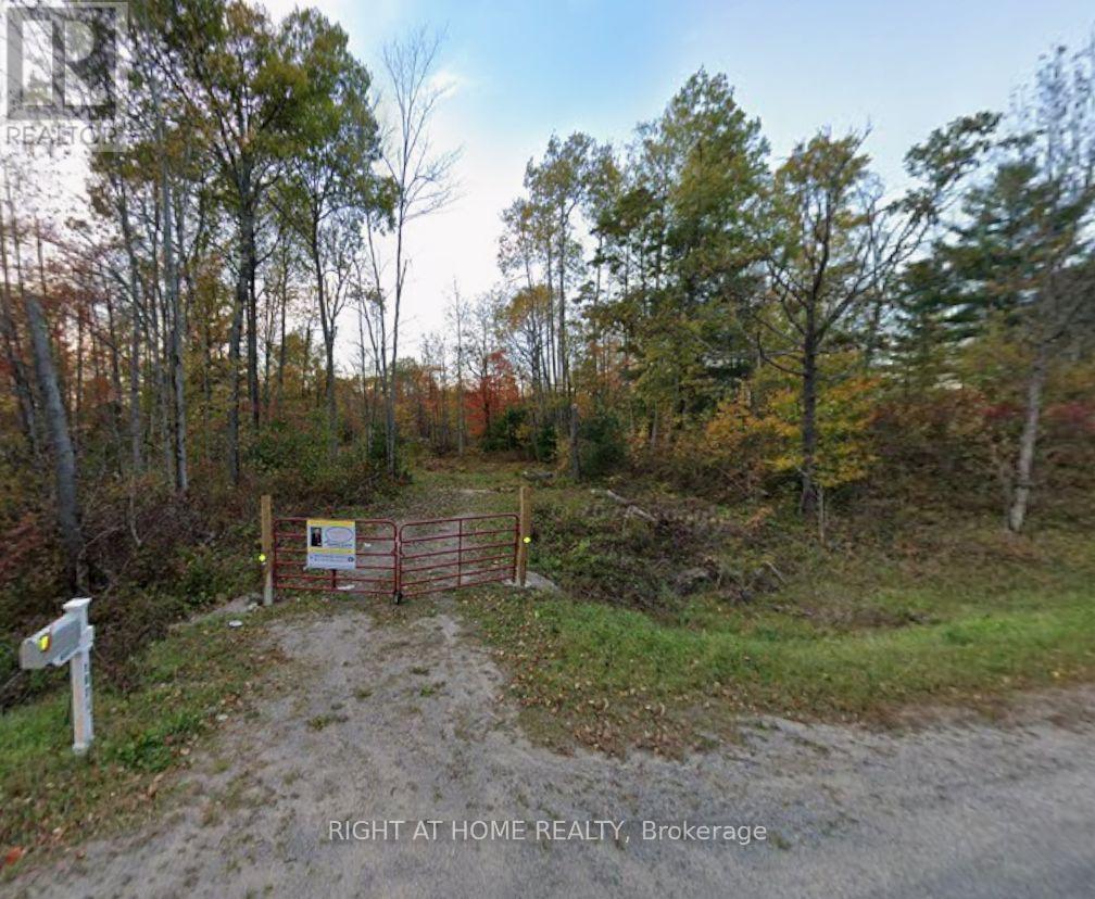 1071 Flinton Road, Tweed, Ontario  K0K 3J0 - Photo 3 - X13743748