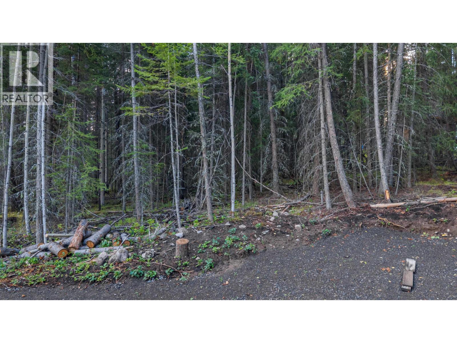 Lot 180 Paterson Road, Deka Lake / Sulphurous / Hathaway Lakes, British Columbia  V0K 1X3 - Photo 6 - R3161522