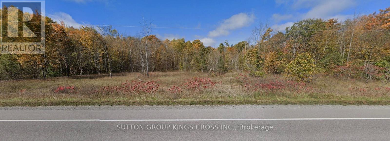 County Road 48 Portage Road, Kawartha Lakes, Ontario  K0M 2B0 - Photo 1 - X13743872