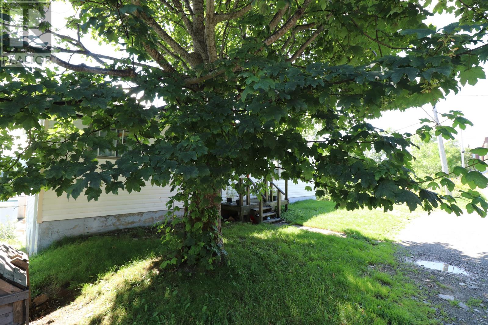 19 Patrick Street, Carbonear — photo 16