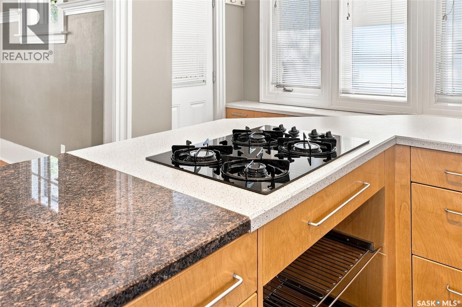 234 10th Street E, Saskatoon, Saskatchewan  S7N 0C5 - Photo 14 - SK047413