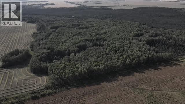 picture 0