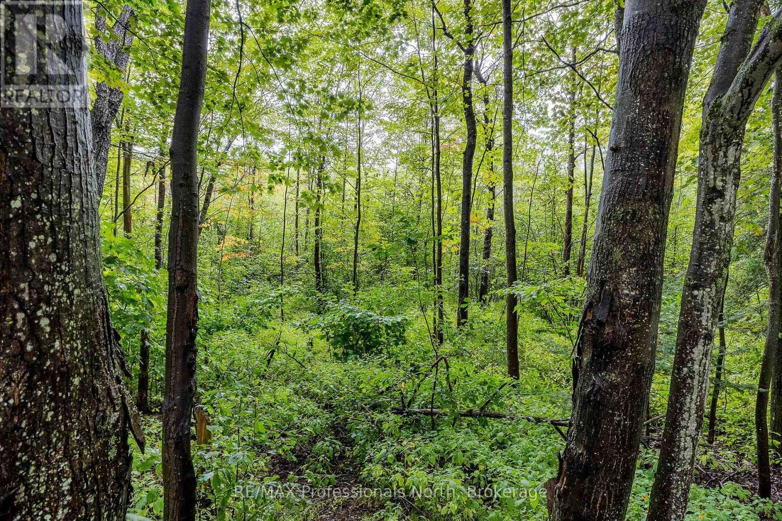 3120 Gelert Road, Minden Hills, Ontario  K0M 2K0 - Photo 42 - X13744546