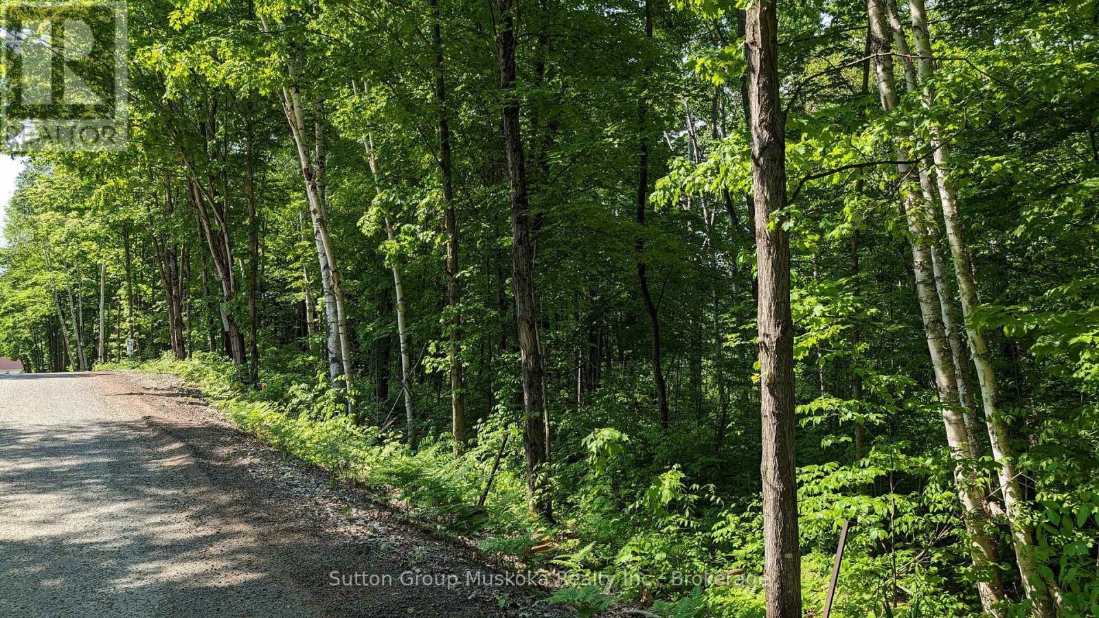 Lot 1 Tally-Ho Winter Park Road, Lake Of Bays (Sinclair), Ontario  P1H 2E8 - Photo 5 - X13744644