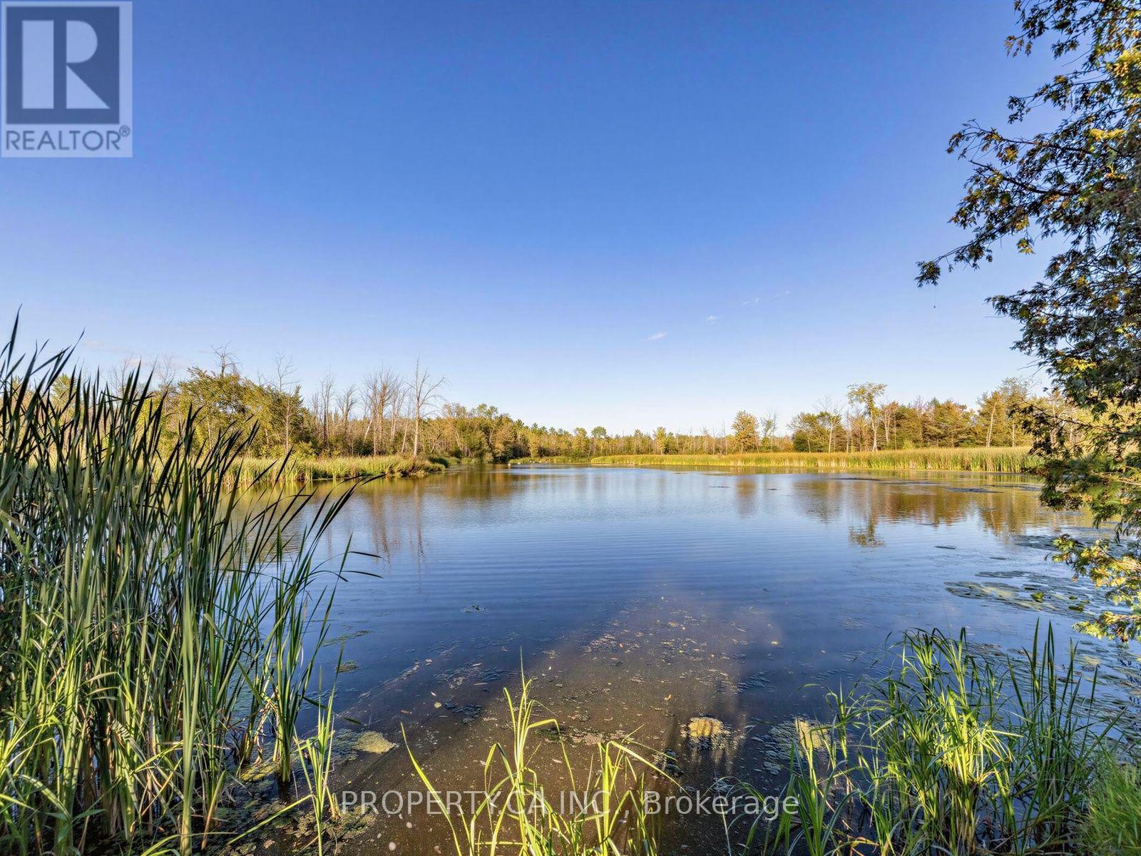30 Willow Street, East Gwillimbury, Ontario  L9N 1J4 - Photo 39 - N13744632