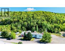 54 PREMIER Drive, South Brook, Newfoundland & Labrador