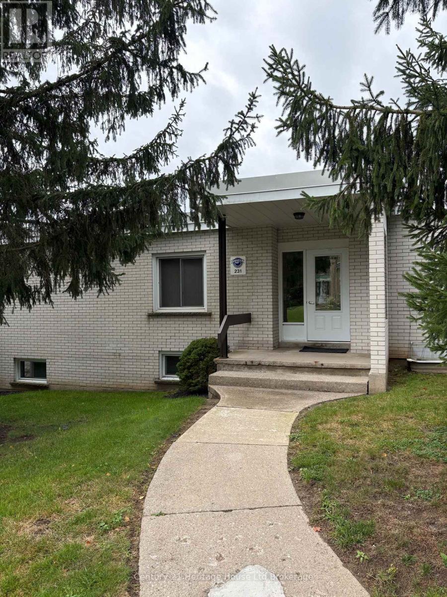 231 Wellington Street N, Woodstock, Ontario  N4S 6S1 - Photo 40 - X13742734