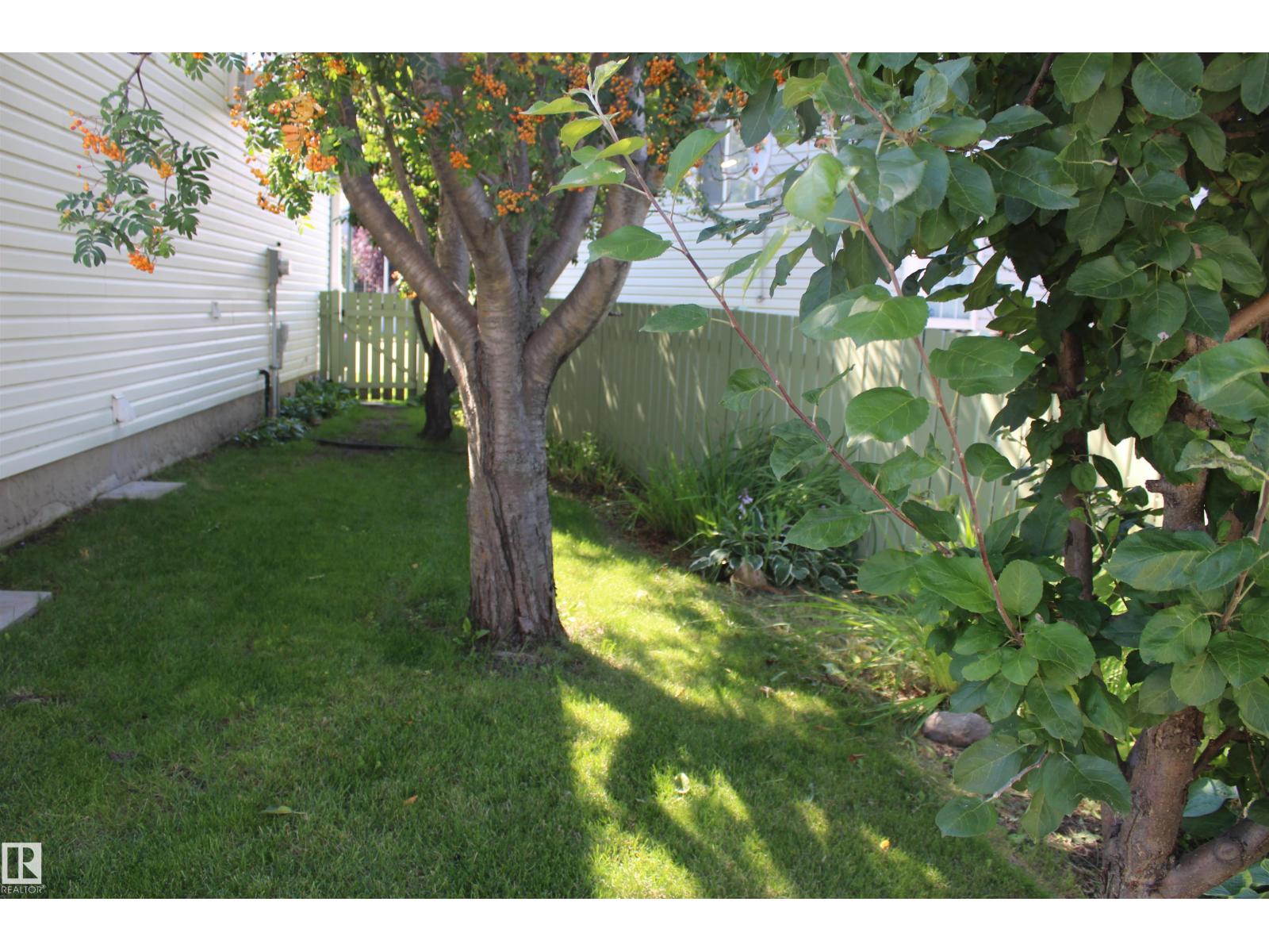 15031 135 St Nw Nw, Edmonton, Alberta  T6V 1M9 - Photo 7 - E4507068
