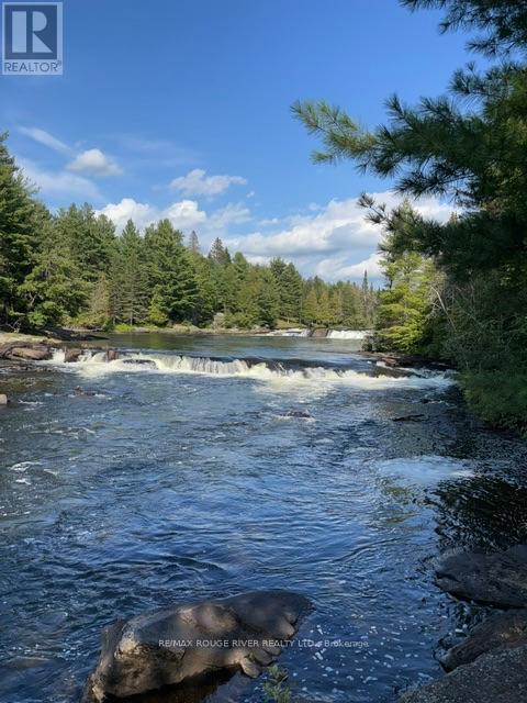 5096 County Rd 503 Road, Trent Lakes, Ontario  K0M 2A0 - Photo 13 - X13743154