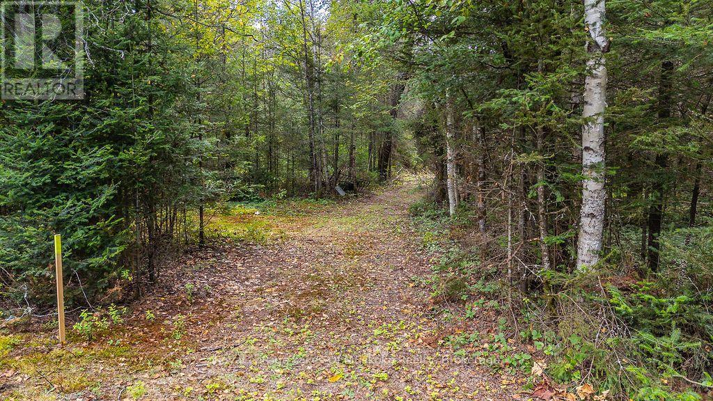 0 Kent Road, Armour, Ontario  P0A 1Z0 - Photo 4 - X13745136