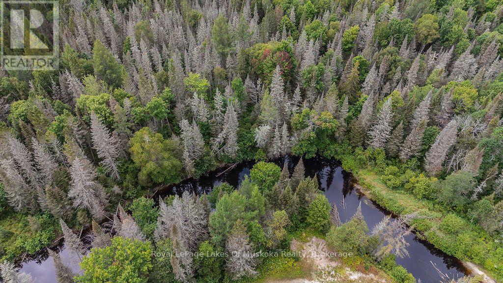 0 Kent Road, Armour, Ontario  P0A 1Z0 - Photo 5 - X13745136