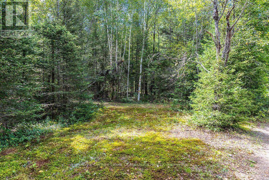 0 Kent Road, Armour, Ontario  P0A 1Z0 - Photo 8 - X13745136