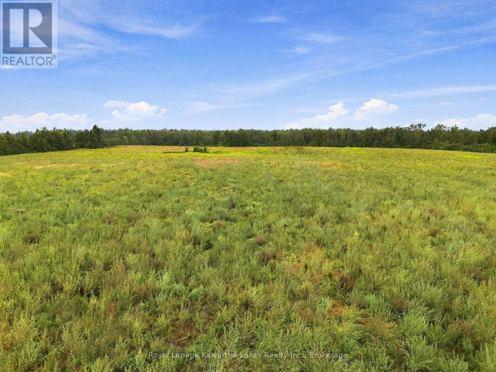 583 Hillhead Road, Kawartha Lakes, Ontario  K0L 2X0 - Photo 10 - X13745238