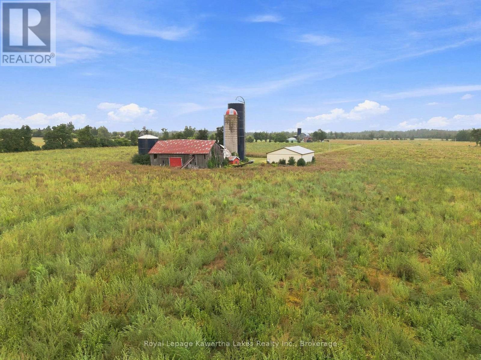 583 Hillhead Road, Kawartha Lakes, Ontario  K0L 2X0 - Photo 11 - X13745238