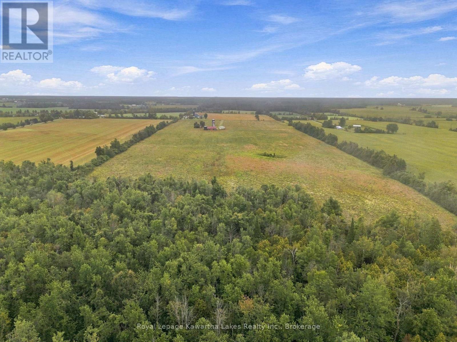 583 Hillhead Road, Kawartha Lakes, Ontario  K0L 2X0 - Photo 12 - X13745238