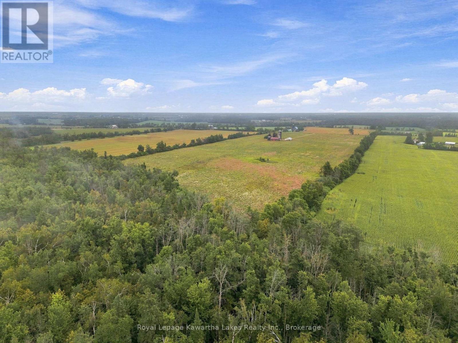 583 Hillhead Road, Kawartha Lakes, Ontario  K0L 2X0 - Photo 13 - X13745238