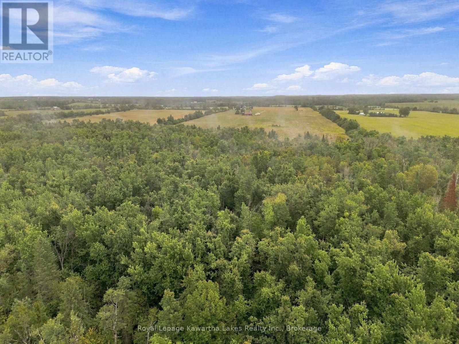 583 Hillhead Road, Kawartha Lakes, Ontario  K0L 2X0 - Photo 15 - X13745238