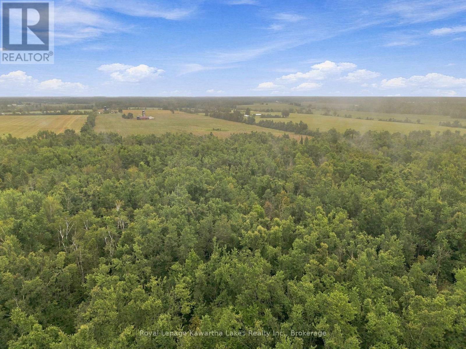 583 Hillhead Road, Kawartha Lakes, Ontario  K0L 2X0 - Photo 16 - X13745238