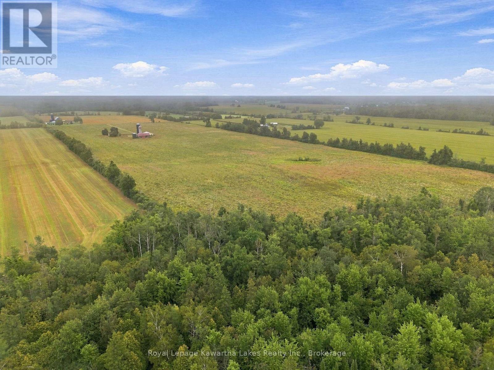 583 Hillhead Road, Kawartha Lakes, Ontario  K0L 2X0 - Photo 17 - X13745238