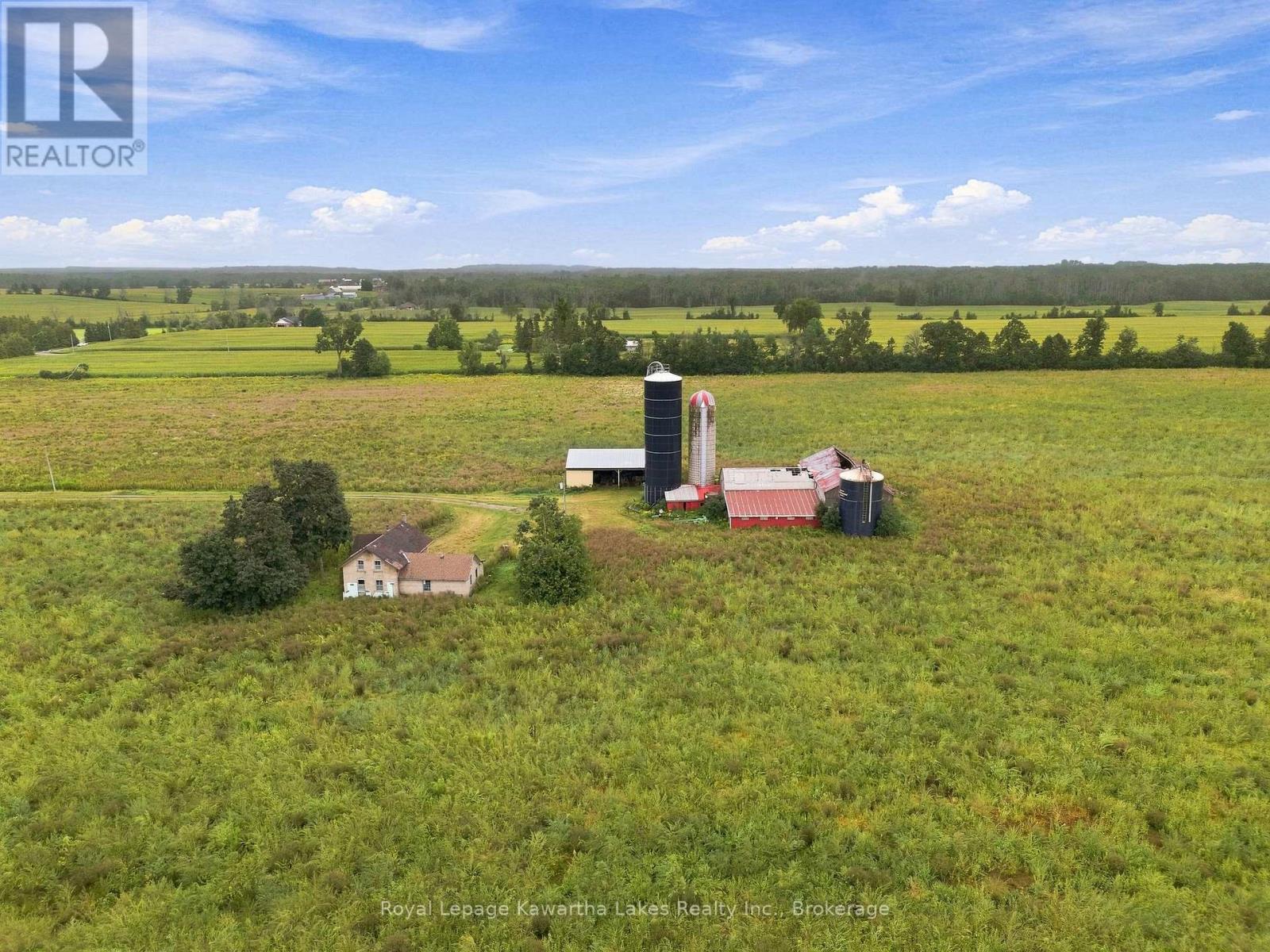 583 Hillhead Road, Kawartha Lakes, Ontario  K0L 2X0 - Photo 6 - X13745238