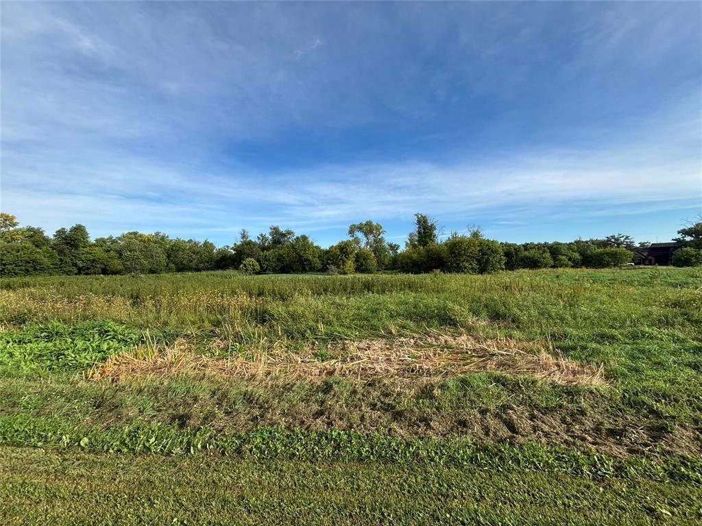 1 Gloria Lane, Alonsa, Manitoba  R0H 0B0 - Photo 1 - 202622247
