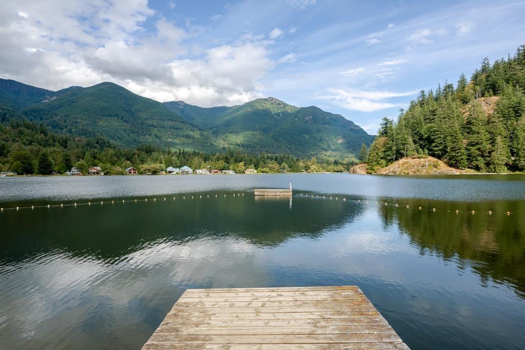 43885 Chestnut Lane, Mission, British Columbia  V0M 1N0 - Photo 34 - R3161199