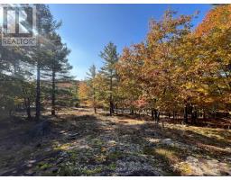 13 RIDGEWAY DRIVE, carling, Ontario